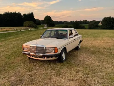 Gebraucht Mercedes 300 88 PS (64 kW) 1979 Beige Limousine