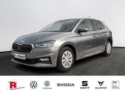 Grau Gebraucht 2024 Skoda Fabia Selection Kleinwagen | 15.990 € (Guter Preis)