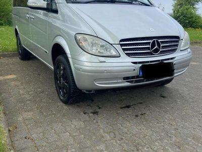 Mercedes Viano