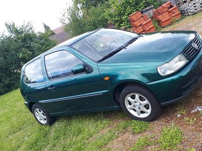 Gebraucht VW Polo 55 PS (40 kW) 1995 Grün Kleinwagen