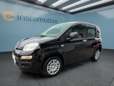 Nouă Fiat Panda Icon 65 CP (47 kW) 2025 Negru Hatchback