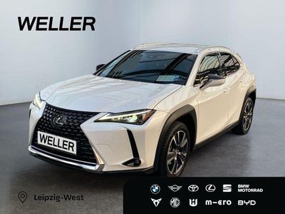 Gebraucht Lexus UX 250h 184 PS (135 kW) 2023 Weiss SUV
