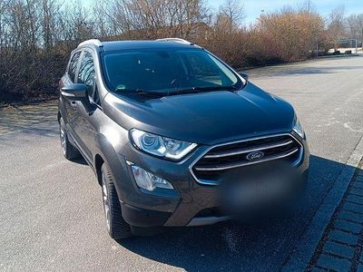 Begagnad Ford Ecosport Titanium X 140 HK (102 kW) 2019 Grå SUV