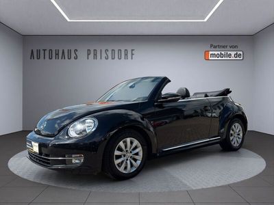 VW Beetle
