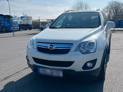 Usata Opel Antara 160 CV (117 kW) 2012 Bianco SUV