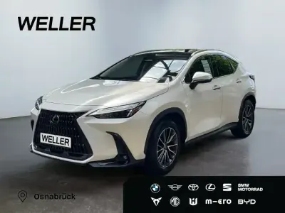Gebraucht Lexus NX350h Executive Line 243 PS (178 kW) 2024 Weiss SUV
