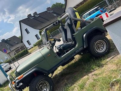 Gebraucht Jeep Wrangler 1991 Grün SUV