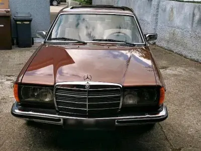 Gebraucht Mercedes 280 185 PS (136 kW) 1978 Braun Coupé