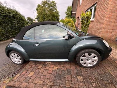 VW Beetle