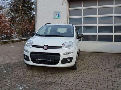 Gebraucht Fiat Panda Easy 69 PS (50 kW) 2017 Weiß Kleinwagen