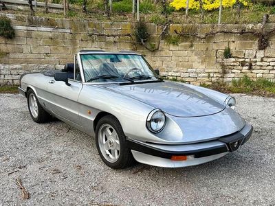 Gebraucht Alfa Romeo Spider 126 PS (92 kW) 1984 Silber Cabrio