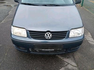VW Polo