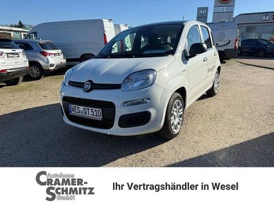 Neu Fiat Panda 69 PS (50 kW) 2025 Weiß Limousine