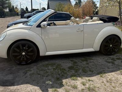Usata VW New Beetle 115 CV (84 kW) 2003 Beige Utilitaria