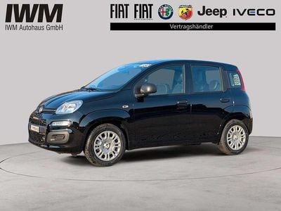 Neu Fiat Panda Icon 69 PS (50 kW) 2026 Cinema schwarz Kleinwagen