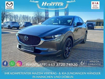 Neu Mazda CX-30 Homura-Line 140 PS (102 kW) 2025 Grau SUV