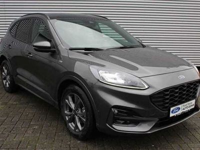 gebraucht Ford Kuga ST-Line X 2.5 FHEV Hybrid FWD *Panorama*