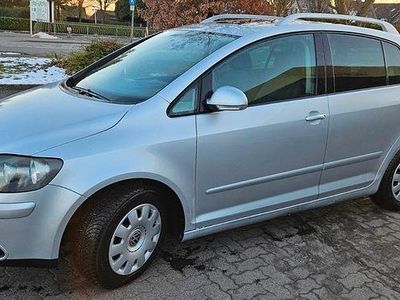 Usata VW Golf Plus Cross 116 CV (85 kW) 2008 Grigio Monovolume
