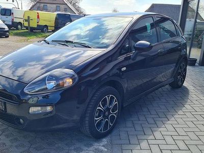 Gebraucht Fiat Punto Pop 69 PS (50 kW) 2013 Schwarz Kleinwagen