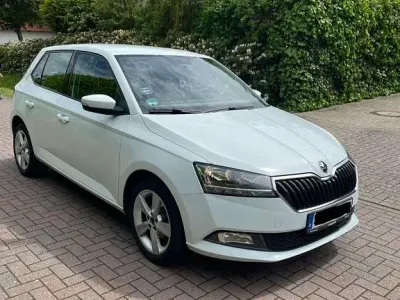 Gebraucht Skoda Fabia Active 60 PS (44 kW) 2019 Weiß Kleinwagen
