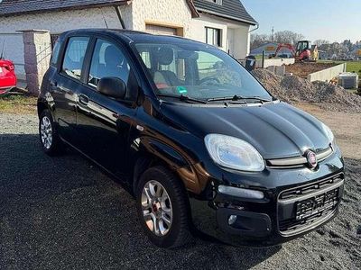 Gebraucht Fiat Panda 69 PS (50 kW) 2014 Schwarz Kleinwagen