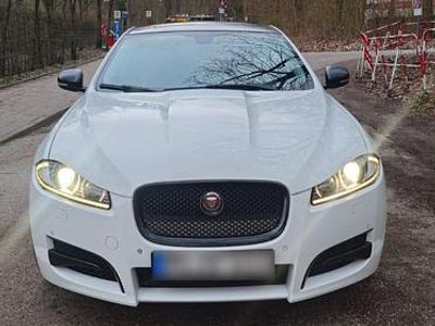Gebraucht Jaguar XF 275 PS (202 kW) 2014 Weiß Limousine