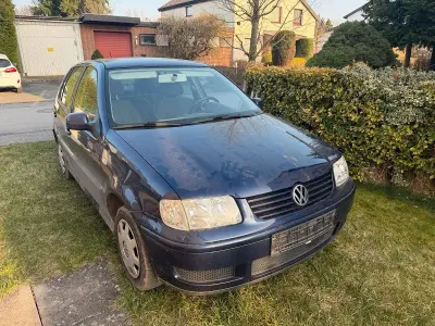 Occasion VW Polo