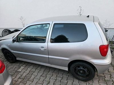 VW Polo
