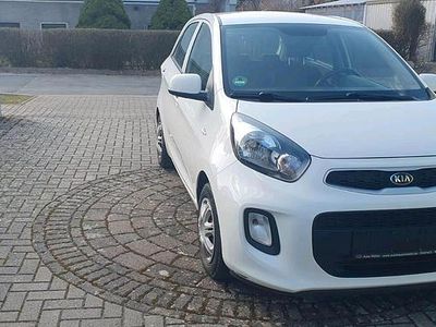 Gebraucht Kia Picanto 67 PS (49 kW) 2017 Weiß Kleinwagen