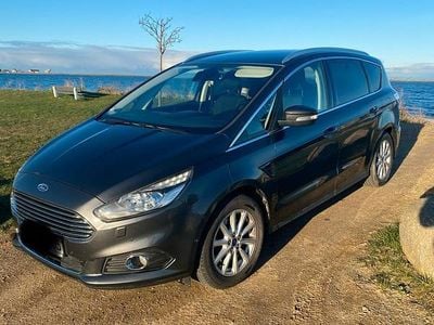 Grau Gebraucht 2017 Ford S-MAX S Van / Kleinbus | 16.799 € (Teuer)