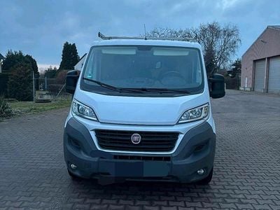 Gebraucht Fiat Ducato 116 PS (85 kW) 2016 Weiß Van