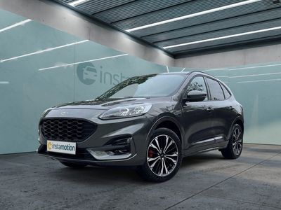 Grau Gebraucht 2021 Ford Kuga ST-Line X SUV | 27.611 € (Etwas zu teuer)