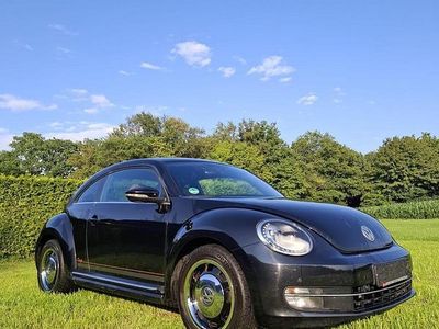 VW Beetle