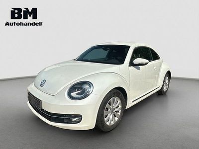 VW Beetle