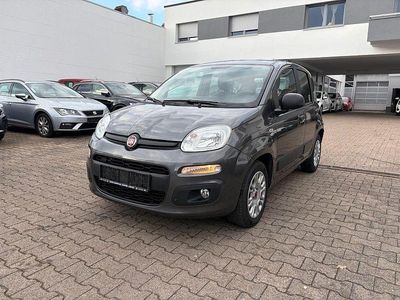 Gebraucht Fiat Panda Easy 69 PS (50 kW) 2017 Grau Kleinwagen