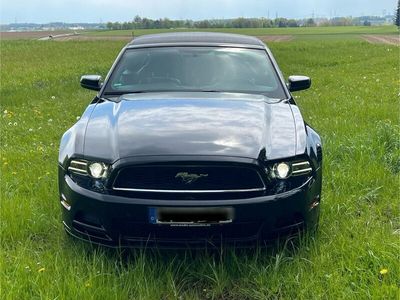 gebraucht Ford Mustang (US) V6