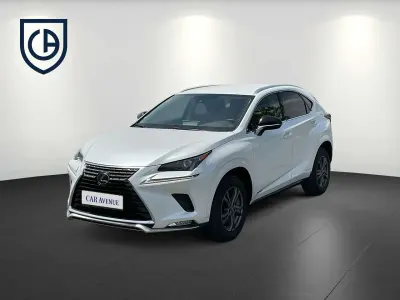 Gebraucht Lexus NX300h 155 PS (114 kW) 2021 Titaniumweiß SUV