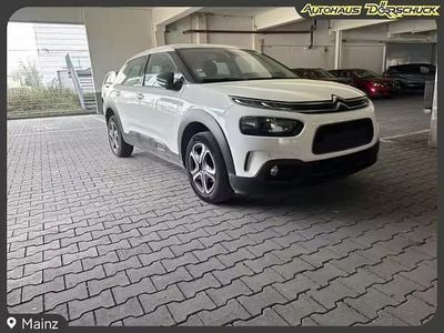 Gebraucht Citroën C4 Cactus Business Class 110 PS (80 kW) 2020 Weiß (blanc banquise) Kleinwagen