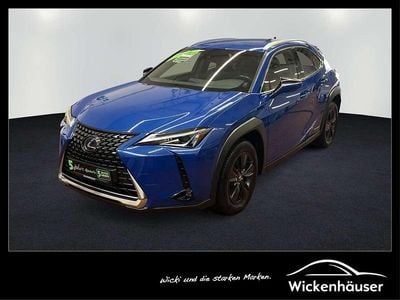 Gebraucht Lexus UX 250h Launch Edition 178 PS (130 kW) 2019 Celestial blue SUV