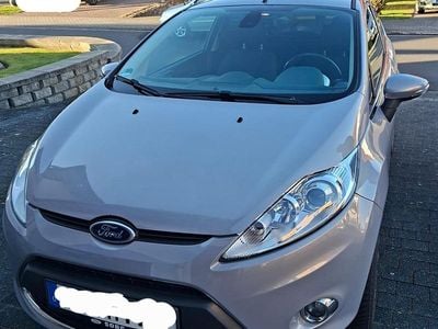 Usata Ford Fiesta Titanium 82 CV (60 kW) 2011 Grigio Utilitaria