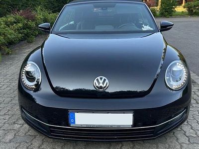 VW Beetle