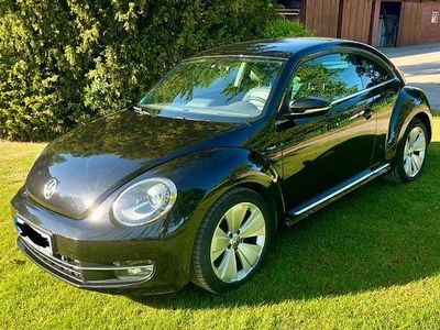 VW Beetle