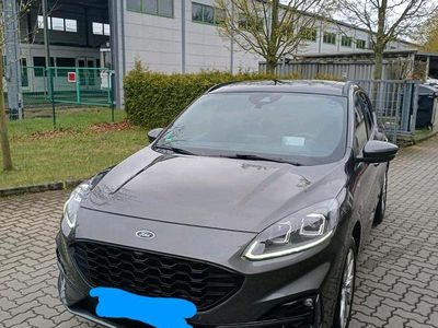 Gebraucht Ford Kuga ST-Line X 190 PS (139 kW) 2020 Grau SUV