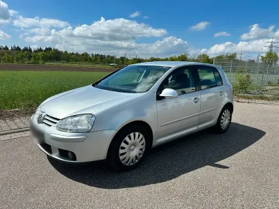 Używany VW Golf V 116 KM (85 kW) 2006 Srebrny Hatchback