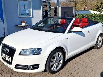 gebraucht Audi A3 Cabriolet A3 2.0 TDI Ambition Cabriolet 2.0 TDI Ambition , 140PS, Sommerauto