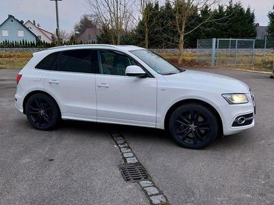 Usata Audi SQ5 Sport 313 CV (230 kW) 2013 Bianco SUV
