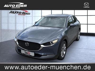 Gebraucht Mazda CX-30 Selection 150 PS (110 kW) 2020 Grau SUV