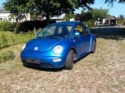 VW Beetle
