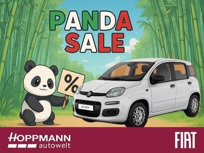 Nouă Fiat Panda Icon 69 CP (50 kW) 2025 Alb Hatchback