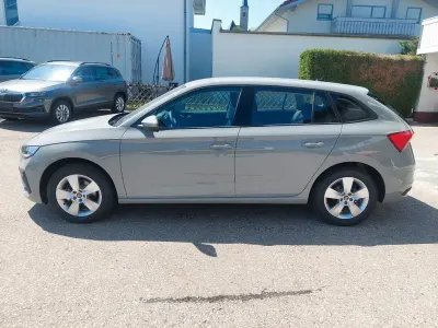 Neu Skoda Scala Selection 116 PS (85 kW) 2026 Steelgrau Kleinwagen